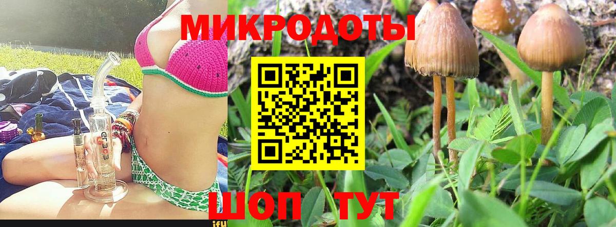 цены наркотик  Вход с VPN  Псилоцибиновые грибы мухоморы  Сегежа  Галлюциногенные грибы MAGIC MUSHROOMS 